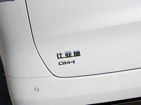 2025�� DM-i 1.5T 100km ������