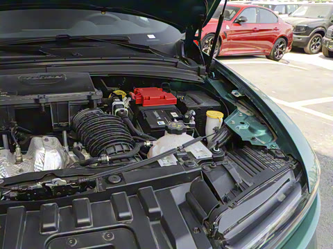 2024�� 2.0T 268HP AWD Veloce������