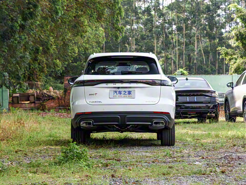 2025�� 2.0T ��������� 7��