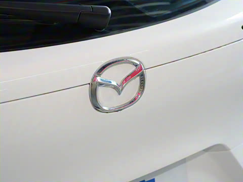 2024�� 2.0L �ֶ�������