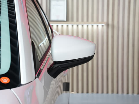 2024�� 2.0L �ֶ�������