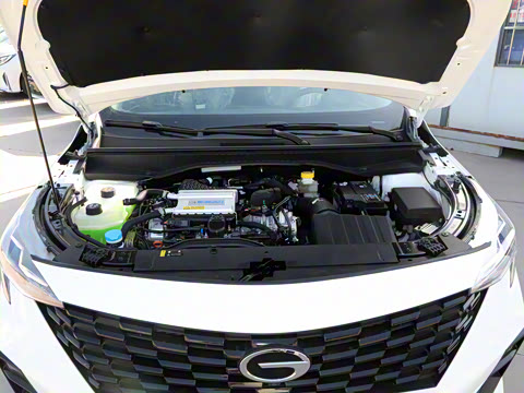 2025�� Ӱ�� 270T ������ ƽ������