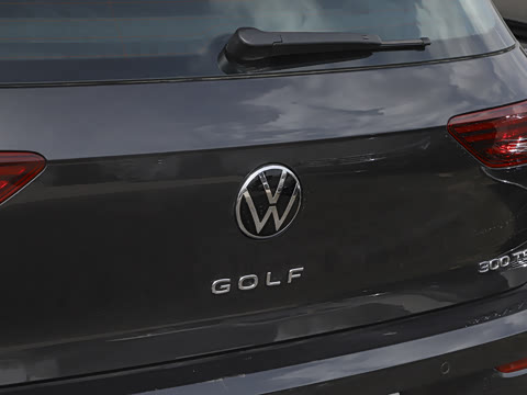 2025�� 300TSI Pro