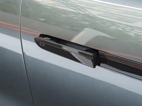 2025�� DM-p ���������״��콢��