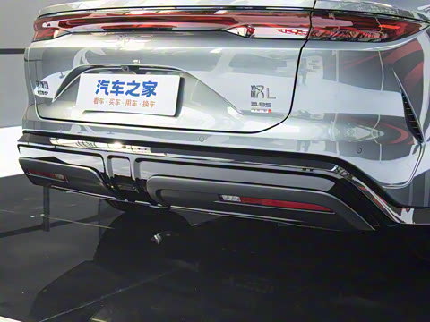 2025�� DM-p ���������״��콢��