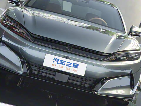 2025�� DM-p ���������״��콢��