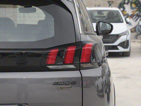 2025�� ������