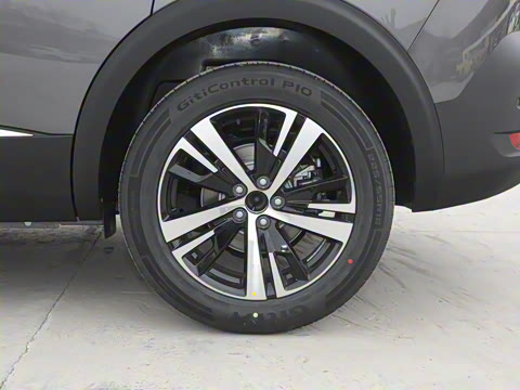 2025�� ������