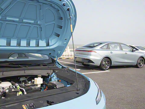 2025�� 520km ������