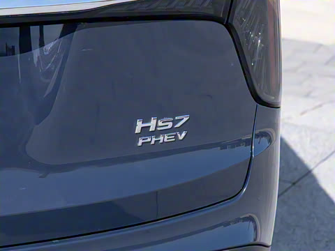 2024�� 2.0T PHEV ��������� 7��