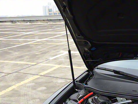 2025�� 45 TFSI quattro ��ѡ������+������