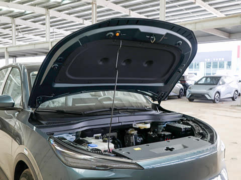 2025�� 565km ������