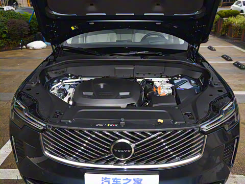 2025�� �Ŀ� T8 ��������� 7��