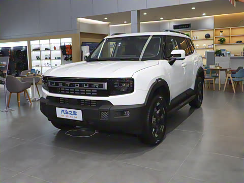 2025�� 2.0TD XWD����