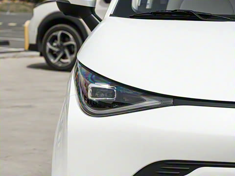 2025�� 305km ������