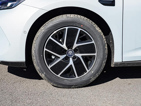 2025�� DM-i �Ǽݰ� 120KM������