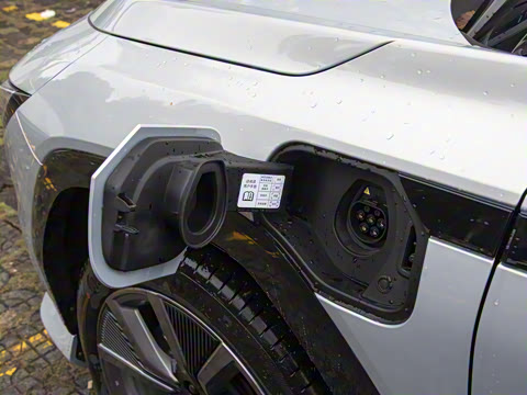 2025�� ����������Max