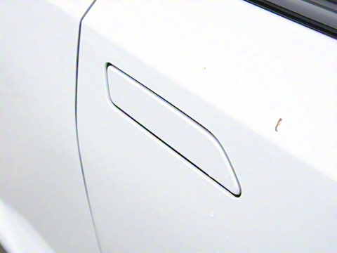 2025�� ����������Max