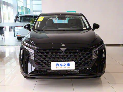 2024�� 260T ���ǰ� Pro