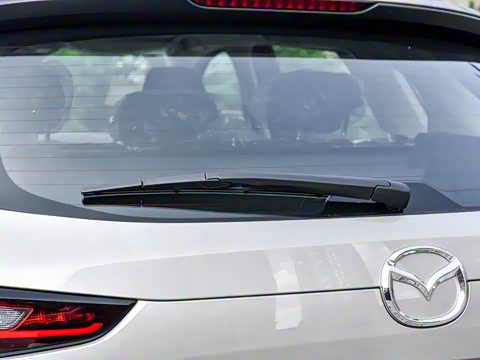 2025�� 2.0L �Զ���������Pro