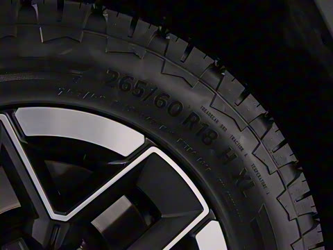 2024�� ����������