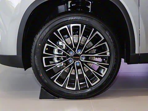 2025�� 300T ������Խ��