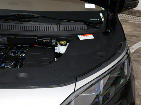 2025�� DM-i 1.5T 100km ��Խ��