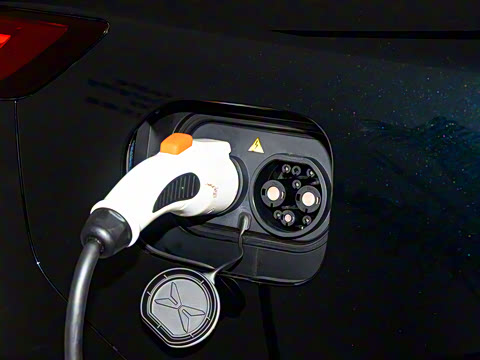 2025�� 625 ������ Max