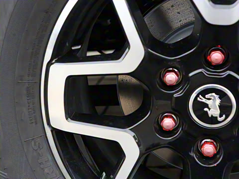 2024�� 2.3T ��̲