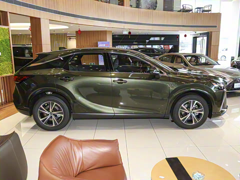 2025�� 300 ����������