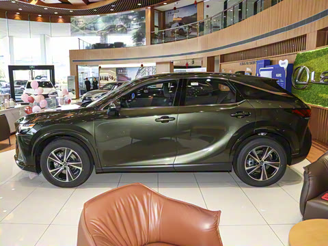 2025�� 300 ����������