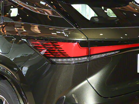 2025�� 300 ����������