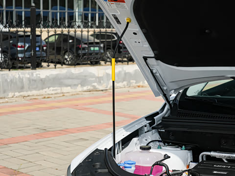 2025�� DM-i �Ǽݰ� 75KM������