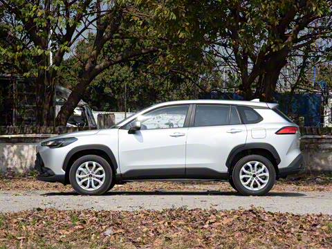 2024�� 2.0L CVT��Ӣplus��