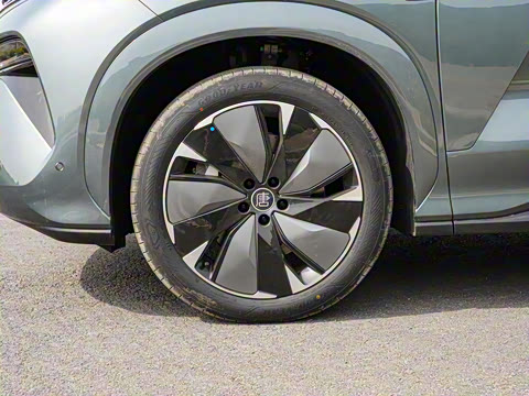 2025�� DM 175KM���˻���Ұ�