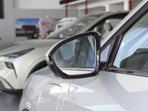 2025�� 565km ������