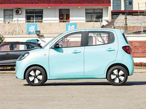 2025�� ���Ű� ���׿�