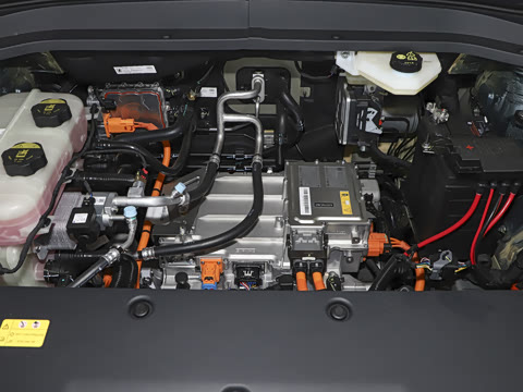 2025�� 565km ������