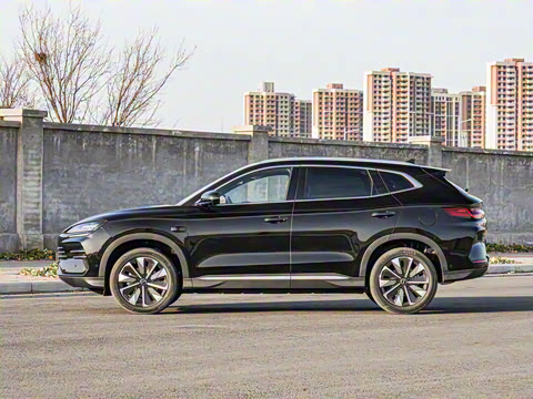 2025�� DM-i �Ǽݰ� 112KM ������