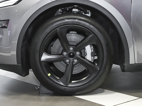 2025�� ����������