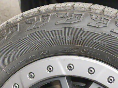 2025�� ɳ���ر�� ����