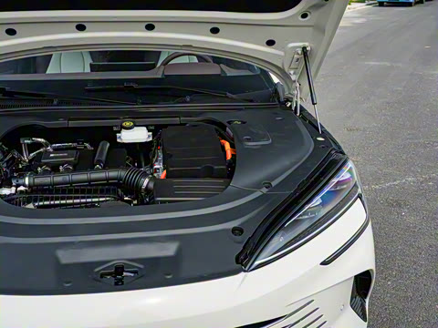 2025�� �Ǽݰ� DM-i 1.5L 125km �����