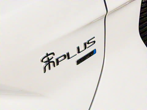 2025�� DM-i �Ǽݰ� 112KM �����