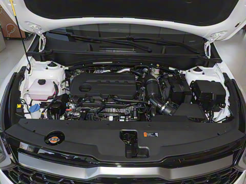 2023�� 2.0T �����콢��