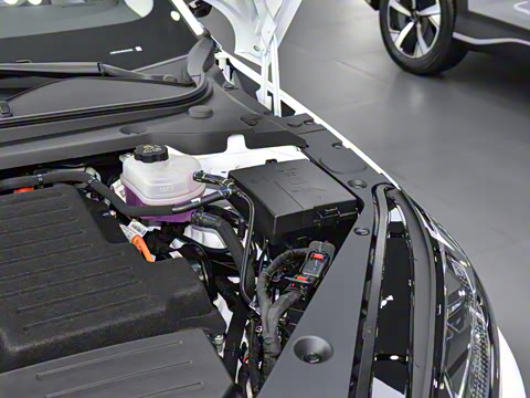 2025�� DM-i 80KM�����