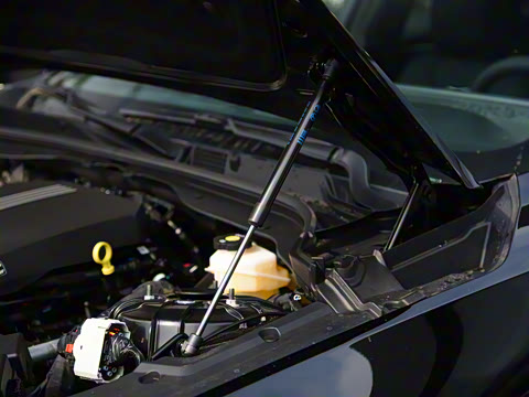 2025�� 28T �����˶���