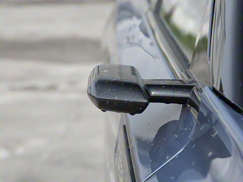 2025�� ����������Max