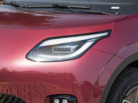 2025�� 330��ҫ��