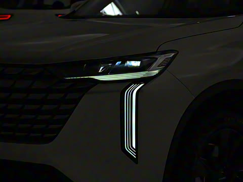 2024�� 2.0T ����Max