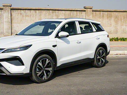 2025�� �ڶ��� �Ǽݰ� DM-i 115KM׿Խ��